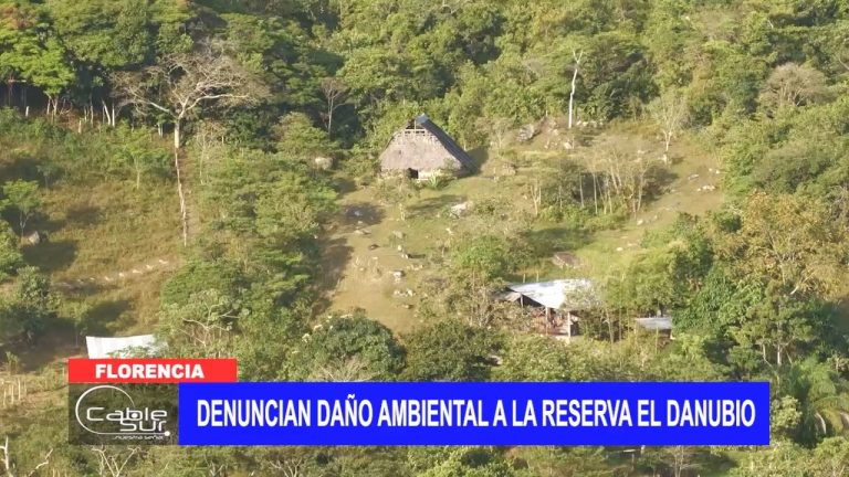Denuncian daño ambiental a la reserva El Danubio