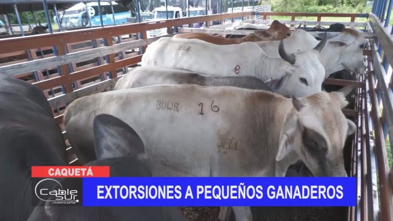 Extorsiones a pequeños ganaderos