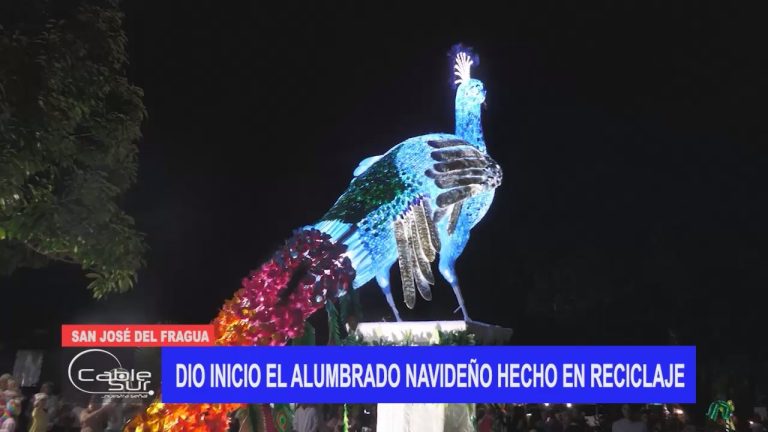 Dio inicio el alumbrado navideño hecho en reciclaje