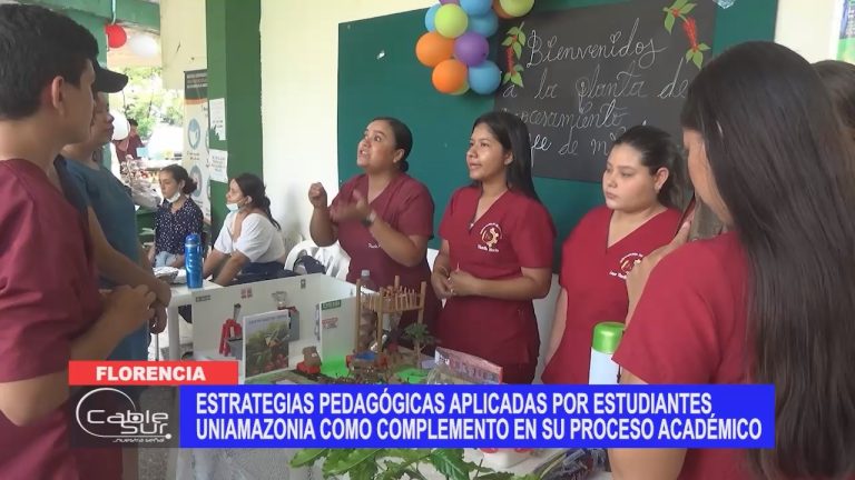 Estrategias pedagógicas aplicadas por estudiantes uniamazonia como complemento en su proceso académico