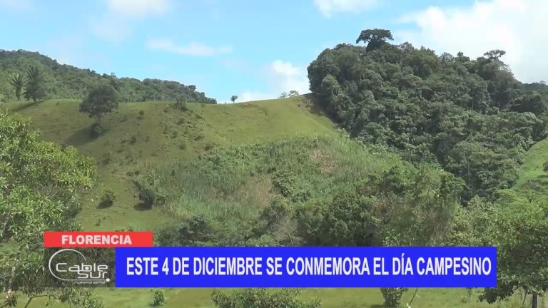 Este 4 de Diciembre se conmemora el día campesino