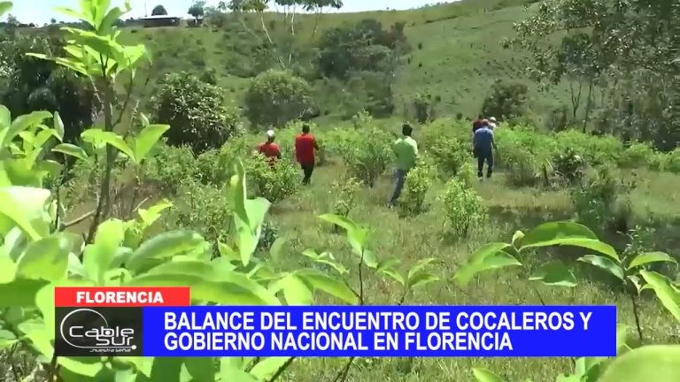 Balance del encuentro de cocaleros y gobierno nacional en Florencia