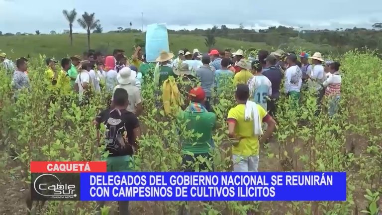 Delegados del gobierno nacional se reunirán con campesinos de cultivos ilícitos