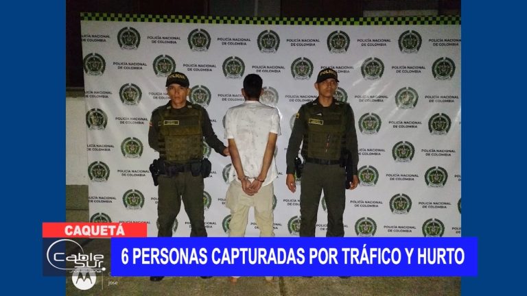 6 personas capturadas por tráfico y hurto