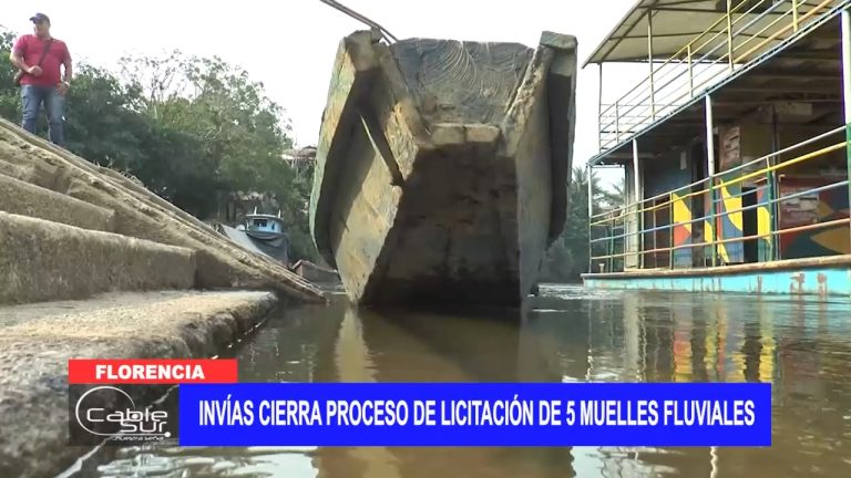 Invías cierra proceso de licitación de 5 muelles fluviales
