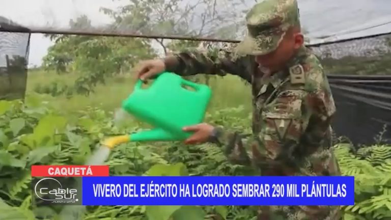 Vivero del ejército ha logrado sembrar 290mil plántulas