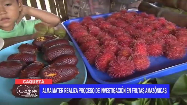 Alma mater realiza proceso de investigación en frutas amazónicas