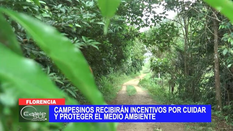 Campesinos recibirán incentivos por cuidar y proteger el medio ambiente