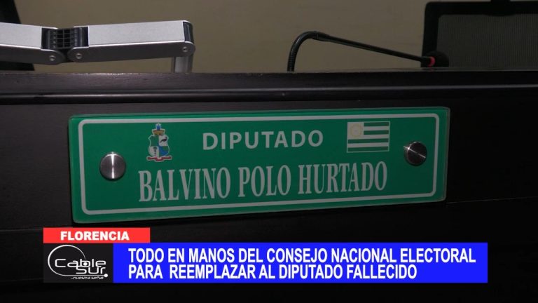 Todo en manos del Consejo Nacional Electoral para reemplazar al diputado fallecido