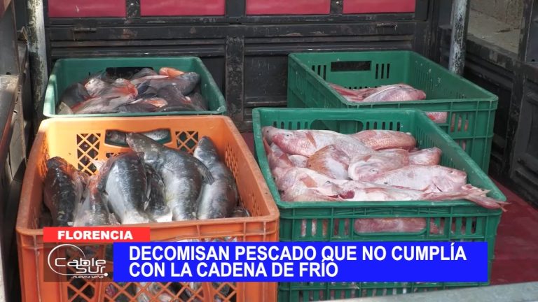 Decomisan pescado que no cumplía con la cadena de frío