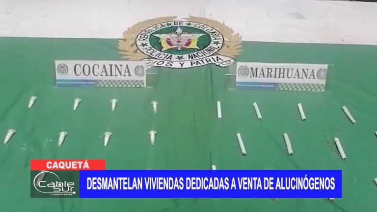 Desmantelan viviendas dedicadas a venta de alucinógenos