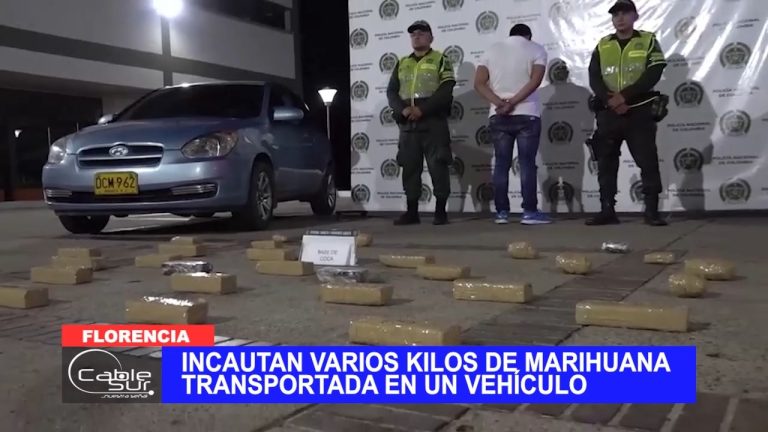 Incautan varios kilos de marihuana transportada en un vehículo