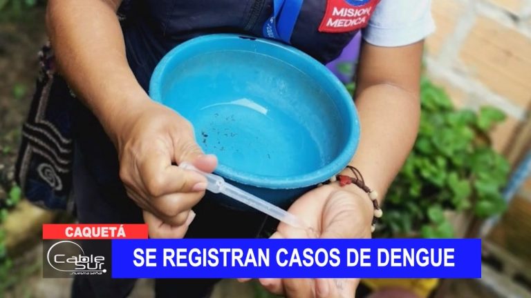 Se registran casos de dengue