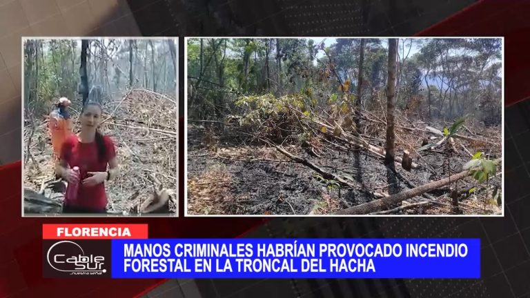 Manos criminales habrían provocado incendio forestal en la Troncal Del Hacha