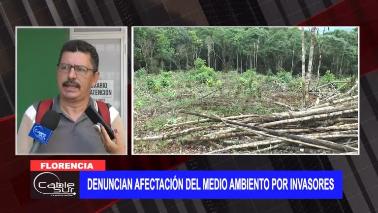 Denuncian afectación del medio ambiento por invasores