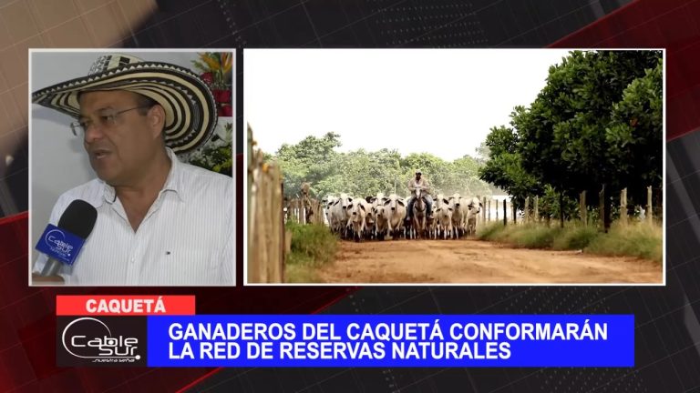 Ganaderos del Caquetá conformarán la red de reservas naturales