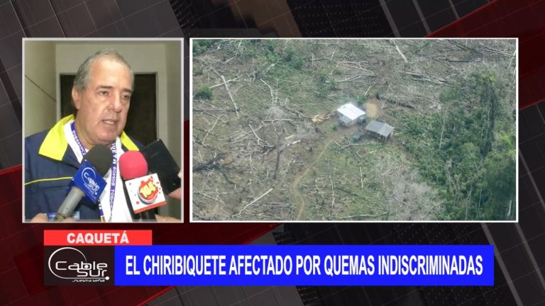 El Chiribiquete afectado por quemas indiscriminadas