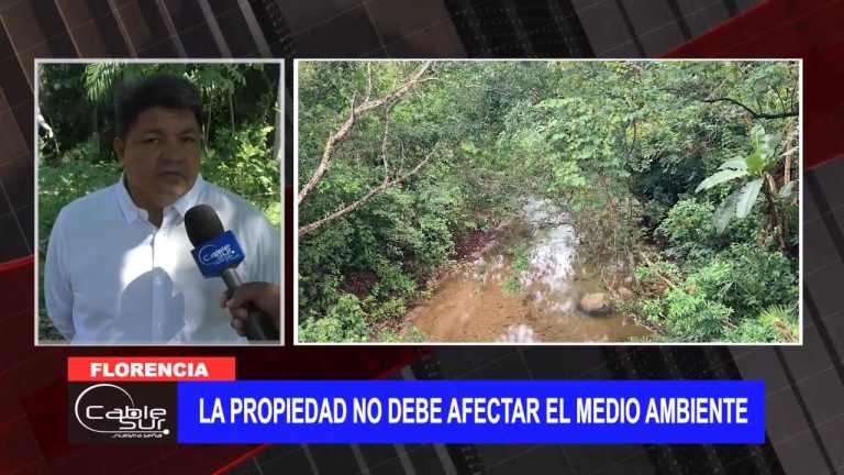 La propiedad no debe afectar el medio ambiente