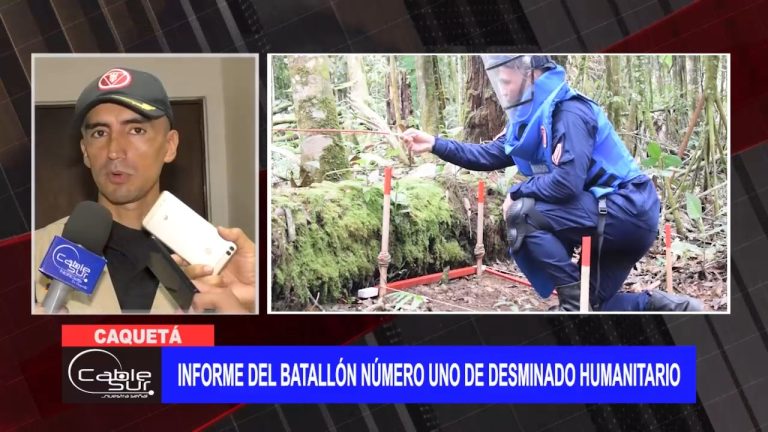 Informe del batallón número uno de desminado humanitario