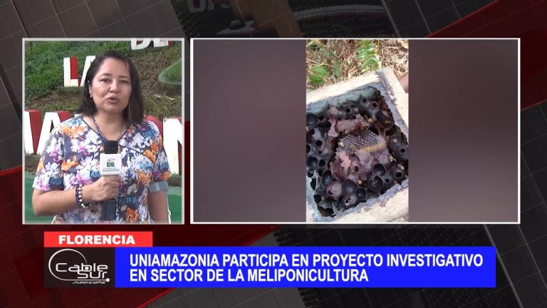Uniamazonia participa en proyecto investigativo en sector de la meliponicultura
