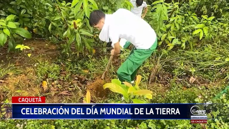 Docentes y estudiantes se unen en una «sembratón».