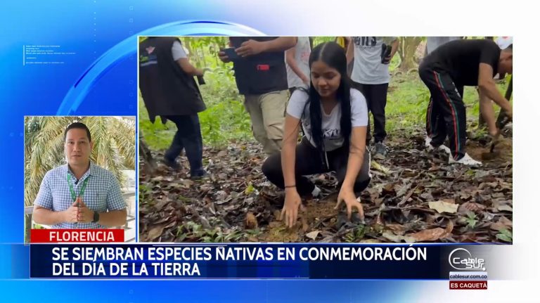 El 22 de abril se celebró el día de la tierra.