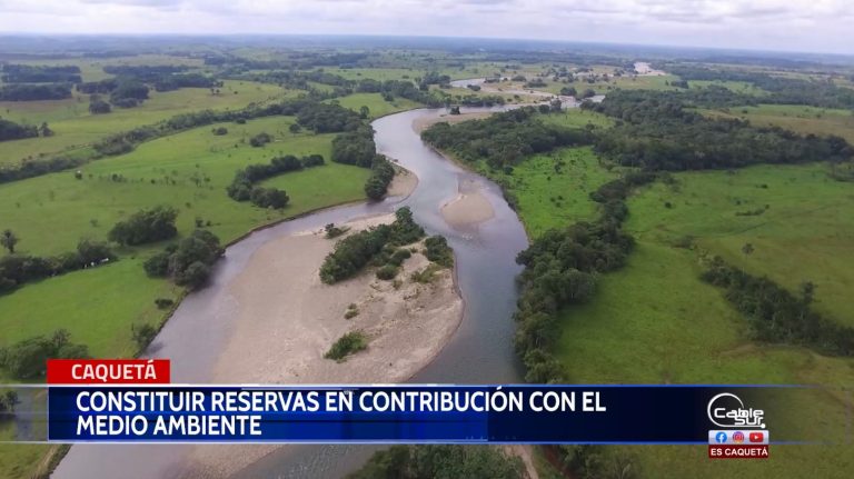 Con las reservas naturales de la sociedad civil se busca contribuir con la preservación del medio ambiente.