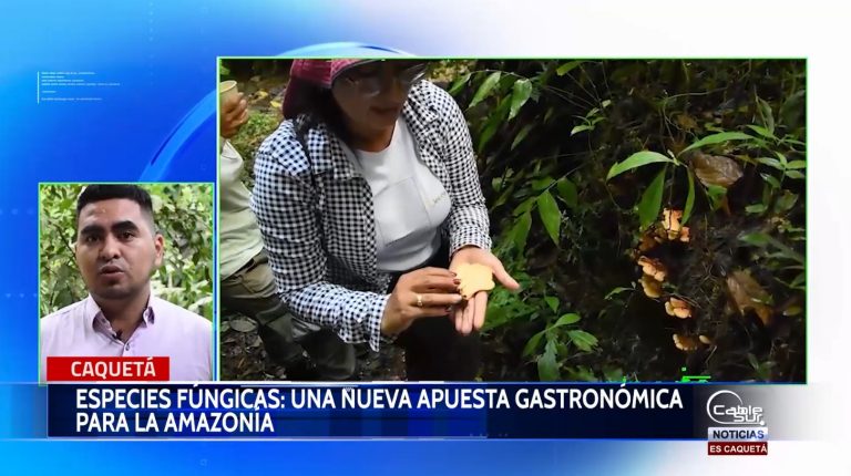 Un grupo de jóvenes del sector rural en Florencia trabaja en la identificación del potencial culinario.