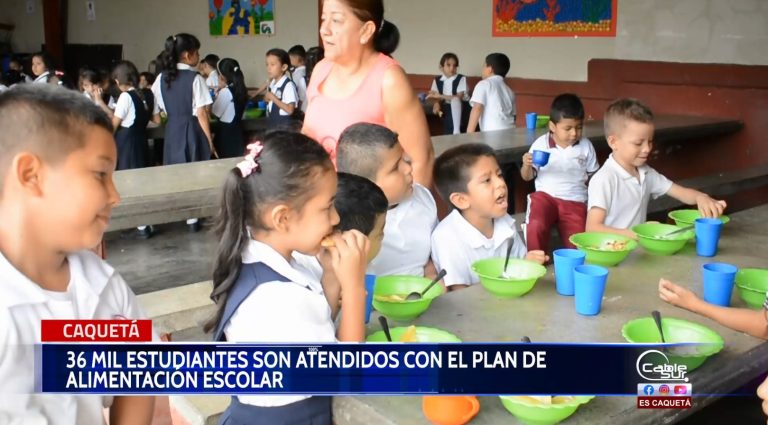 Inquietudes que se vienen generando en el contrato del plan de alimentación escolar.