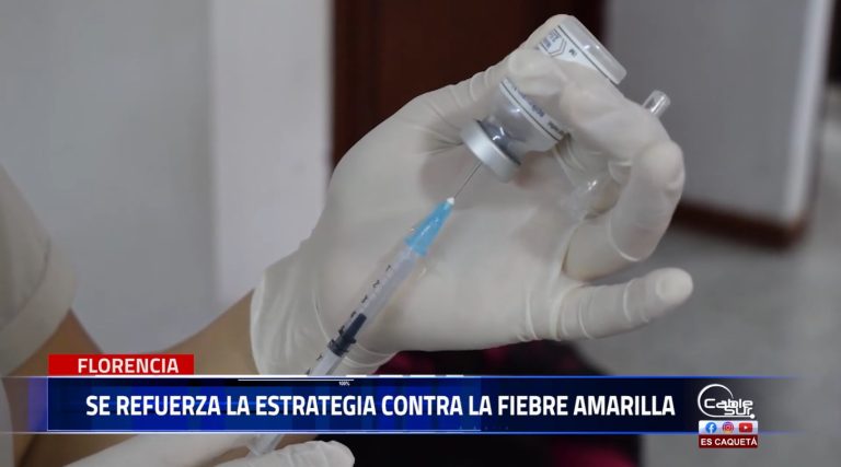 La secretaría de salud municipal, ha puesto en marcha una estrategia clave para cumplir con el plan de contingencia contra la fiebre amarilla.