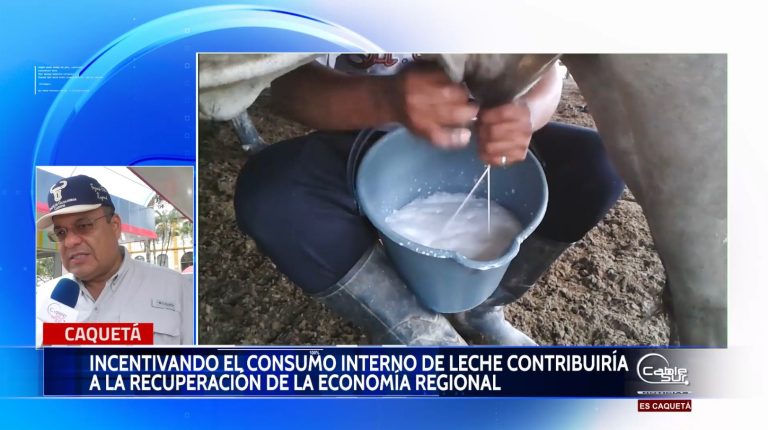 El gerente del comité departamental de ganaderos se refirió al leve aumento del precio de la leche en el departamento de Caquetá.
