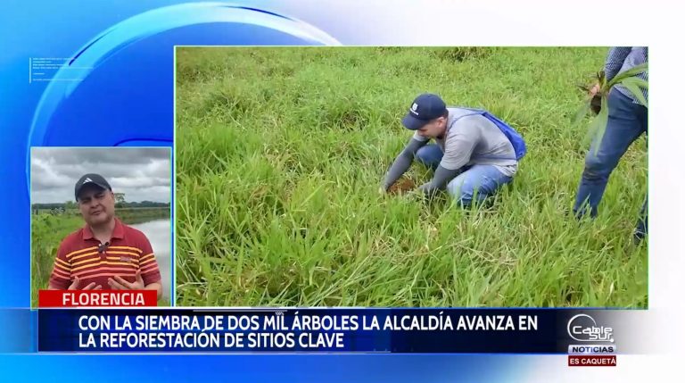 La alcaldía de Florencia avanza de manera articulada en los procesos de reforestación en el territorio.