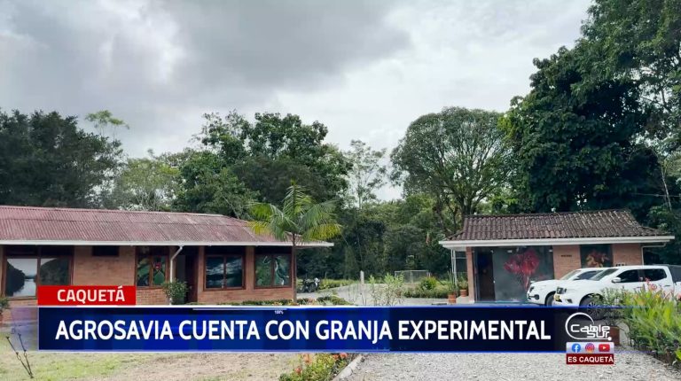 En Villa Garzón Putumayo Agrosavia establecerá una granja experimental.