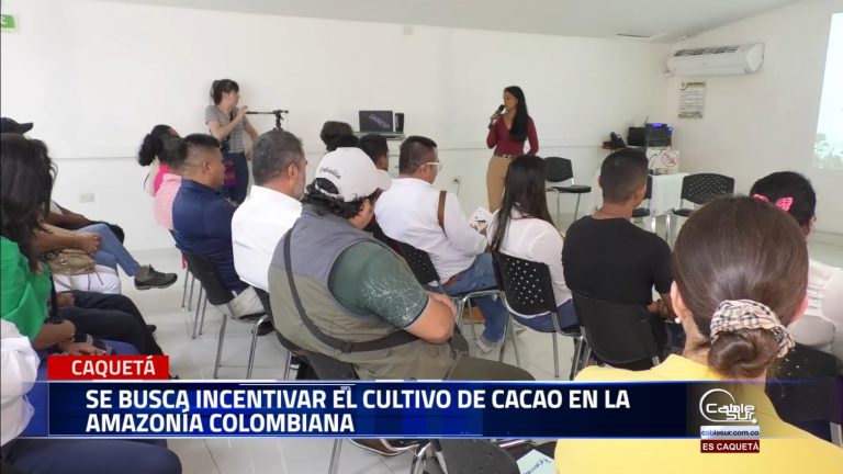 Cacao para la vida, más bosques en la amazonia, proyecto que se adelanta en el departamento de Caquetá y el cual es liderado por la organización Alisos.
