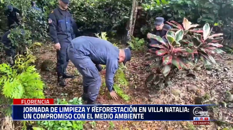 El día de ayer en conmemoración del día Internacional de la preservación de los bosques tropicales.