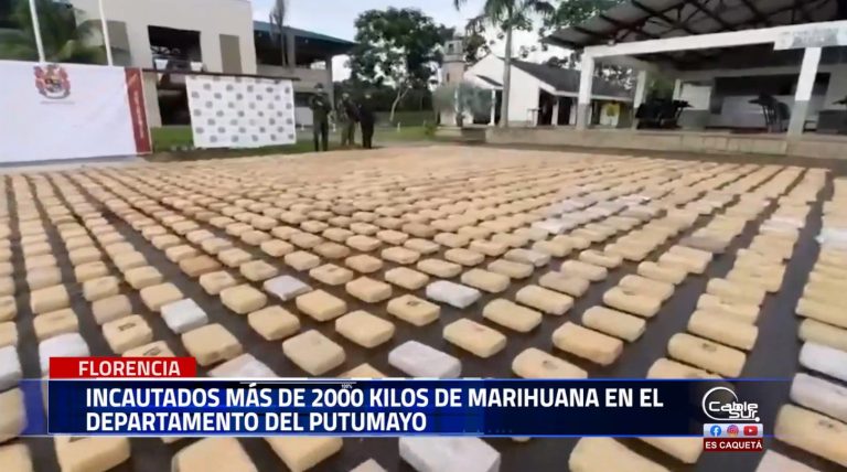 Incautados más de 2000 kilos de marihuana que equivalen a un millón de dosis, valorada en el mercado internacional en un poco más de medio millón de dólares.
