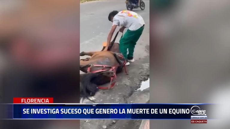 Ante el acontecimiento que genero la muerte de un equino el secretario de ambiente y desarrollo rural manifestó que este proceso será investigado por la autoridad ambiental.