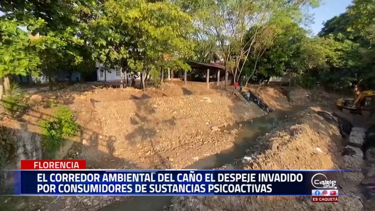 El corredor ambiental del caño el despeje se han convertido en lugar de consumo de sustancias psicoactivas así lo manifestó el presidente del barrio Florencia la nueva.