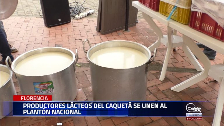Con la repartición de leche y queso productores lácteos del departamento de Caquetá se unen a la jornada de protesta que se realiza simultáneamente en varias regiones del País.