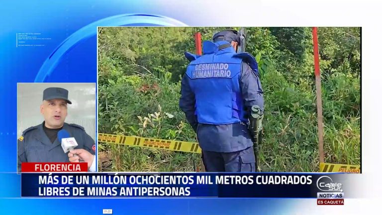 Un balance positivo entrega el batallón de desminado humanitario número uno en el Caquetá donde se ha logrado declarar áreas de varios municipios libres de artefactos explosivos.