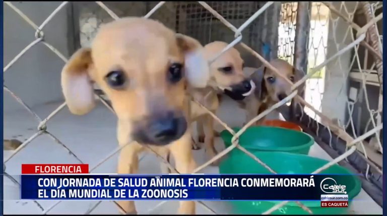 Con una jornada de salud animal, Florencia participará activamente en la conmemoración del día mundial de la zoonosis este 6 de julio.