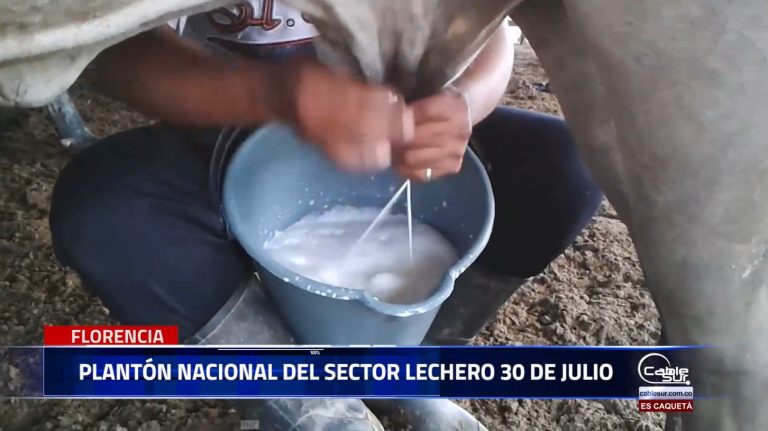 Productores de leche del Caquetá participarán del plantón simultáneo nacional que se realizará este martes 30 de julio.