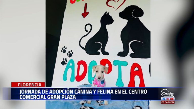 Desfile de adopción de mascotas en Florencia, la jornada se realizará el próximo 20 de julio en el centro comercial gran plaza, a partir de las 2 de la tarde.