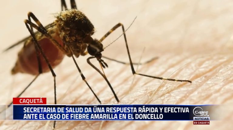 La secretaria de Salud departamental en rueda de prensa se refirió al caso de fiebre amarilla registrado en el municipio de el Doncello afortunadamente la persona se encuentra fuera de peligro.