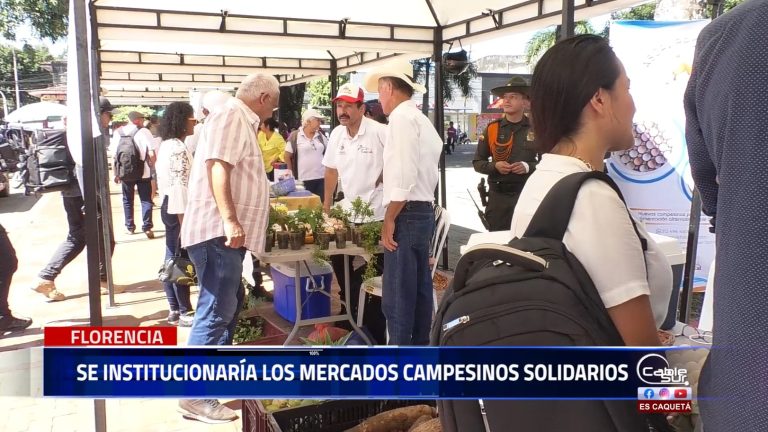 Productores agropecuarios y artesanos participan del mercado campesino solidario el propósito por ordenanza y acuerdos se buscará que sean institucionalizados.