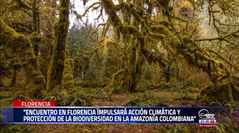 Se realizarán la segunda edición del evento ‘al clima con el País’.