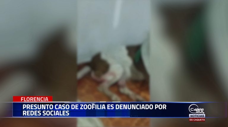 Concejal de Florencia animalista se refiere a un video que circula en las redes sociales, un acto de crueldad animal que muestra como un hombre violento a una perra dentro de su casa.