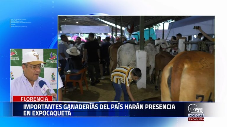Importantes ganaderías locales y del interior del país han confirmado su participación en el mayor certamen ferial del sur de Colombia.