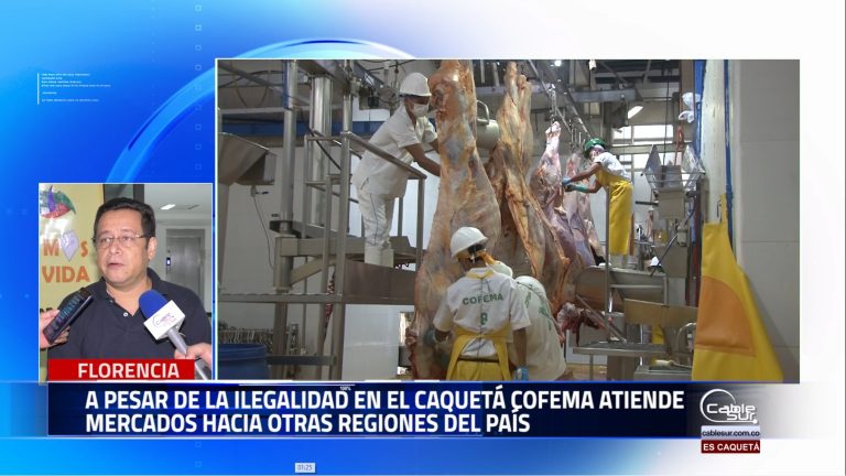 La exportación de ganado colombiano hacia otros países ha permitido que Cofema atienda mercados hacia el interior del País.