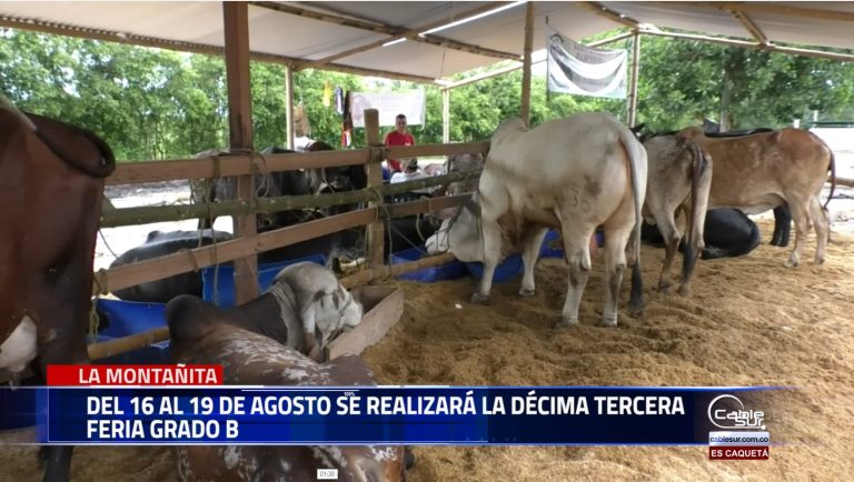 El municipio de la Montañita abre el calendario ferial en el departamento de Caquetá del 16 al 19 de agosto se realizará en esta municipalidad la décima tercera versión